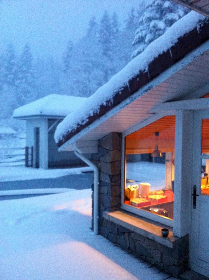 Le Chalet Blanc - Jacuzzi / Piscine / Sauna Gérardmer Exteriér fotografie
